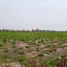  Land for sale in Doem Bang Nang Buat, Suphan Buri, Nong Krathum, Doem Bang Nang Buat