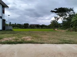  Land for sale in Thailand, Mueang Phan, Phan, Chiang Rai, Thailand