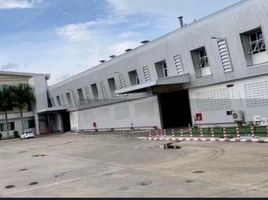  Warehouse for sale in Bo Thong, Chon Buri, Bo Kwang Thong, Bo Thong