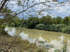  Land for sale in Mueang Kaeo, Mae Rim, Mueang Kaeo