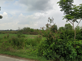  Grundstück zu verkaufen in Bang Pa-In, Phra Nakhon Si Ayutthaya, Sam Ruean, Bang Pa-In