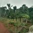  Grundstück zu verkaufen in Boca Do Acre, Amazonas, Boca Do Acre