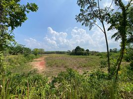  Land for sale in Phangnga, Lo Yung, Takua Thung, Phangnga