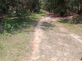  Land for sale in Surat Thani, Na Mueang, Koh Samui, Surat Thani