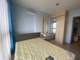 1 Bedroom Apartment for rent at Ideo O2, Bang Na, Bang Na, Bangkok, Thailand