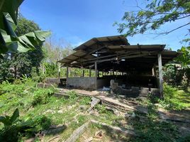  Land for sale in Thalang, Phuket, Si Sunthon, Thalang