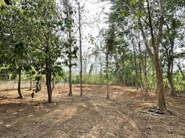  Land for sale in Mueang Lampang, Lampang, Ton Thong Chai, Mueang Lampang