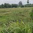  Land for sale in Thep Krasattri, Thalang, Thep Krasattri