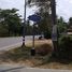  Land for sale in AsiaVillas, Sam Roi Yot, Sam Roi Yot, Prachuap Khiri Khan, Thailand