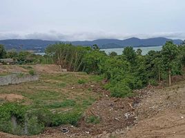  Grundstück zu verkaufen in Koh Samui, Surat Thani, Bo Phut