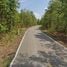  Land for sale in Lampang, Na Pong, Thoen, Lampang