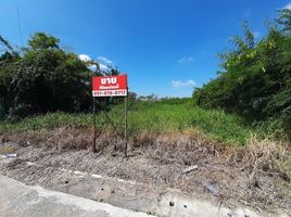  Land for sale in Don Sai, Ban Pho, Don Sai