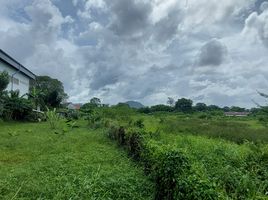  Land for sale in Chalong, Phuket Town, Chalong