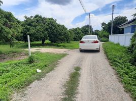  Land for sale in Nong Faek, Saraphi, Nong Faek