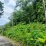  Land for sale in Chalong, Phuket Town, Chalong