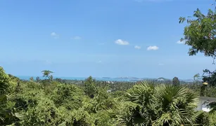 N/A Grundstück zu verkaufen in Maenam, Surat Thani 