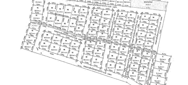 Master Plan of Cattleya Village - Photo 1