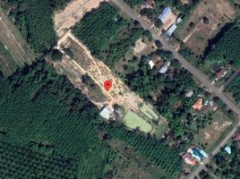  Land for sale in Det Udom, Ubon Ratchathani, Phon Ngam, Det Udom