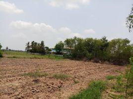  Land for sale in Lum Lam Chi, Ban Khwao, Lum Lam Chi