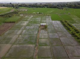  Land for sale in Ban Mae, San Pa Tong, Ban Mae