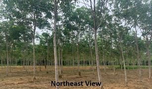 N/A Land for sale in Khok Kloi, Phangnga 