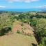  Land for sale in Puntarenas, Golfito, Puntarenas