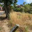  Land for sale in Thalang Phuket, Choeng Thale, Thalang, Phuket