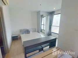 1 Bedroom Condo for rent at The Base Rama 9 - Ramkhamhaeng, Hua Mak, Bang Kapi