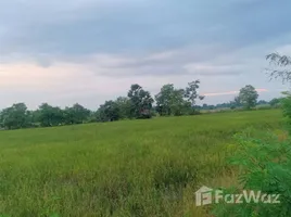 ขายที่ดิน ใน สากเหล็ก, พิจิตร, สากเหล็ก, สากเหล็ก