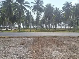  Land for sale in Nakhon Si Thammarat, Khanom, Khanom, Nakhon Si Thammarat
