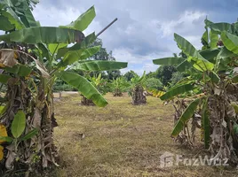  Land for sale in Nong Khwai, Chiang Mai, Nong Khwai