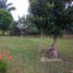 Land for sale in Presidente Figueiredo, Amazonas, Balbina, Presidente Figueiredo
