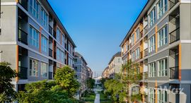 ยูนิตมือสองและให้เช่า