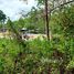  Land for sale in Thailand, Chalong, Phuket Town, Phuket, Thailand