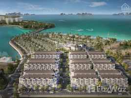 Studio Biệt thự bán ở Hùng Thắng, Quảng Ninh Liền kề Grand Bay Town House Hạ Long chỉ 104 căn xây 4 tầng sát mặt biển có bãi tắm riêng dài 1km