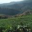  Земельный участок for sale in Wiang Tai, Mae Hong Son, Wiang Tai, Pai