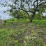 Terrain à vendre à Puerto Plata, San Felipe De Puerto Plata