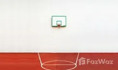 รูปถ่าย 2 of the Filet de basket-ball at เดอะ พาโน พระราม3