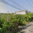  Land for sale in Pathum Thani, Bang Prok, Mueang Pathum Thani, Pathum Thani