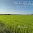 ขายที่ดิน ใน ท่าช้าง, พิษณุโลก, ท่าช้าง, พรหมพิราม, พิษณุโลก, ไทย