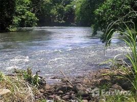  Terreno (Parcela) en venta en Guanacaste, Canas, Guanacaste