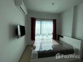 คอนโด 1 ห้องนอน ให้เช่า ในโครงการ เดอะทรี สุขุมวิท 71 – เอกมัย, สวนหลวง, สวนหลวง