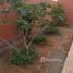 4 Schlafzimmer Villa zu vermieten in FazWaz.de, Anezi, Tiznit, Souss Massa Draa, Marokko