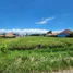 在里岛出售的 土地, Mengwi, Badung, 里岛