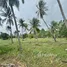  Земельный участок for sale in Sam Roi Yot, Хуа Хин, Sam Roi Yot, Сам Рои Yoт, Прачуап Кири Кхан