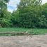  Land for sale in Nonthaburi, Bang Bua Thong, Bang Bua Thong, Nonthaburi
