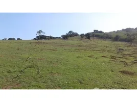  Land for sale at Zapallar, Puchuncavi