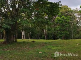  Grundstück zu verkaufen in Guatuso, Alajuela, Guatuso, Alajuela, Costa Rica