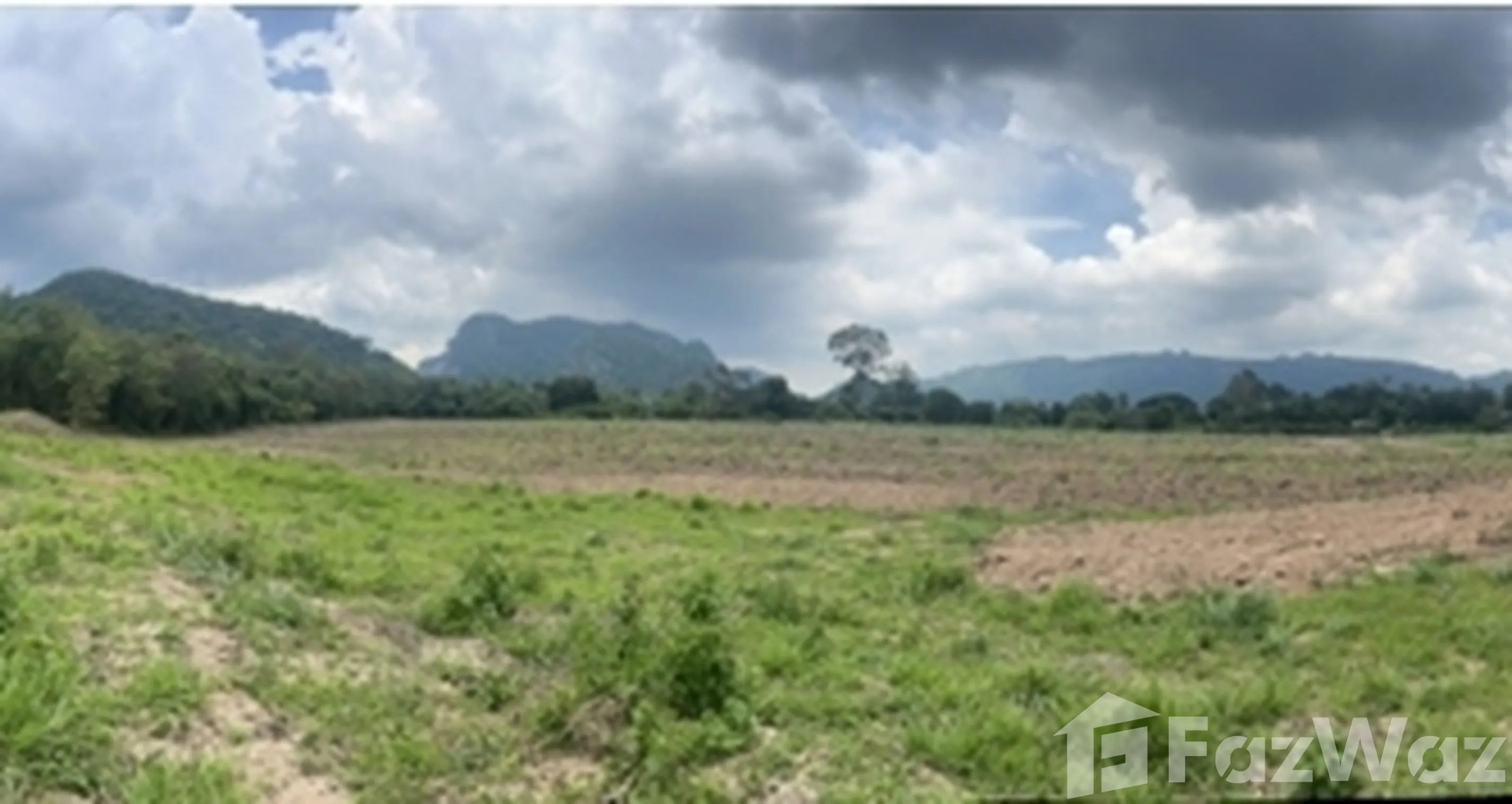 A large plot of land in Khao Yai, 31 rai, in a prime location.