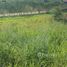  Land for sale in Brazil, Fernando De Noronha, Fernando De Noronha, Rio Grande do Norte, Brazil